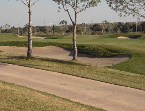 Las líneas maestras del diseño y la construcción de los caminos de buggies en los campos de golf