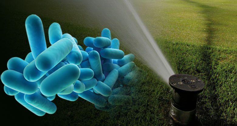 https://golfindustria.es/wp-content/uploads/2021/11/legionella-golf-2.jpg